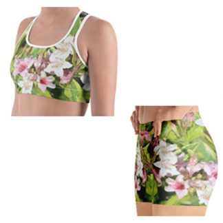 Sports Bra & Tank / Shorts