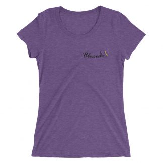 Mistakes Are Proof That You Are Trying - Triblend Ladies' T